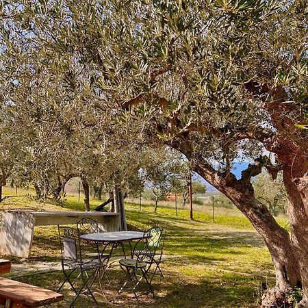 Oasi Macerina Villa Alanno ภายนอก รูปภาพ