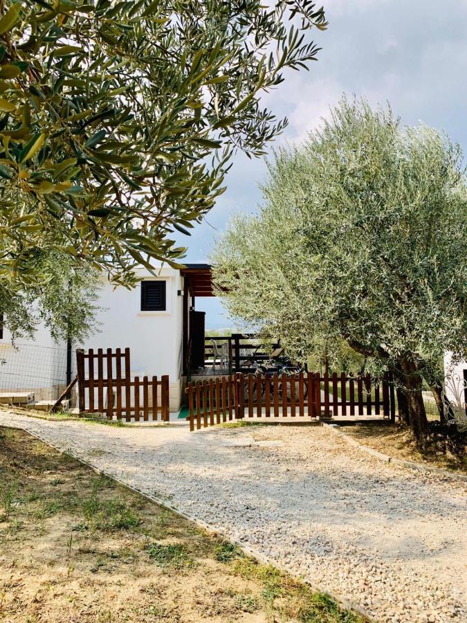 Oasi Macerina Villa Alanno ภายนอก รูปภาพ