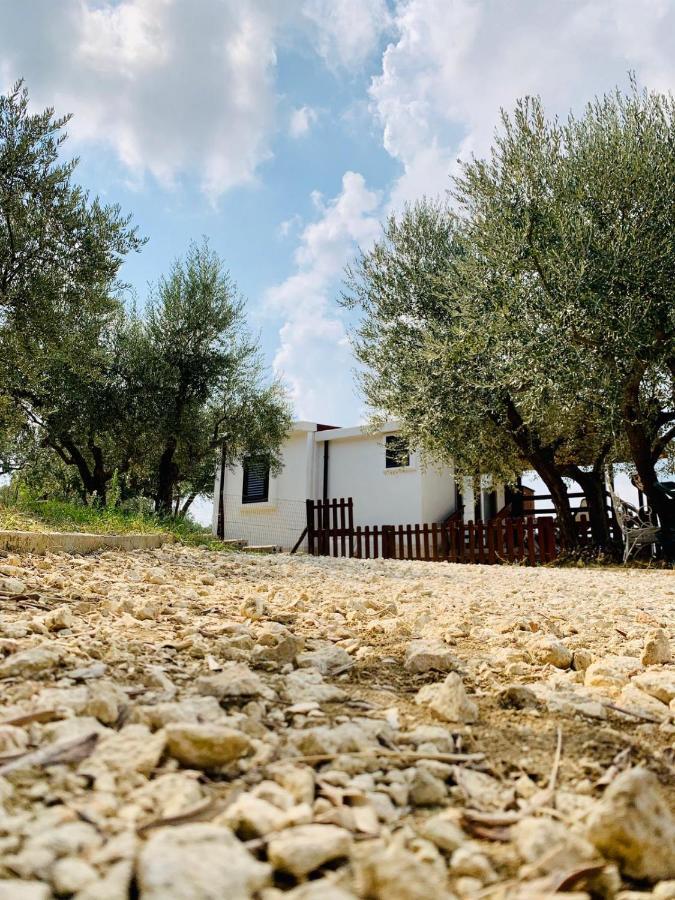Oasi Macerina Villa Alanno ภายนอก รูปภาพ