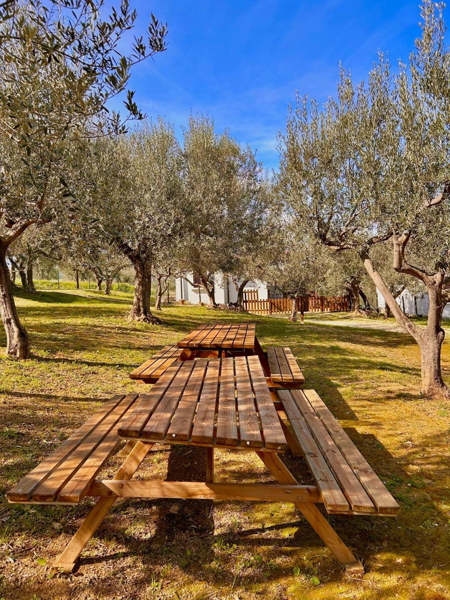 Oasi Macerina Villa Alanno ภายนอก รูปภาพ
