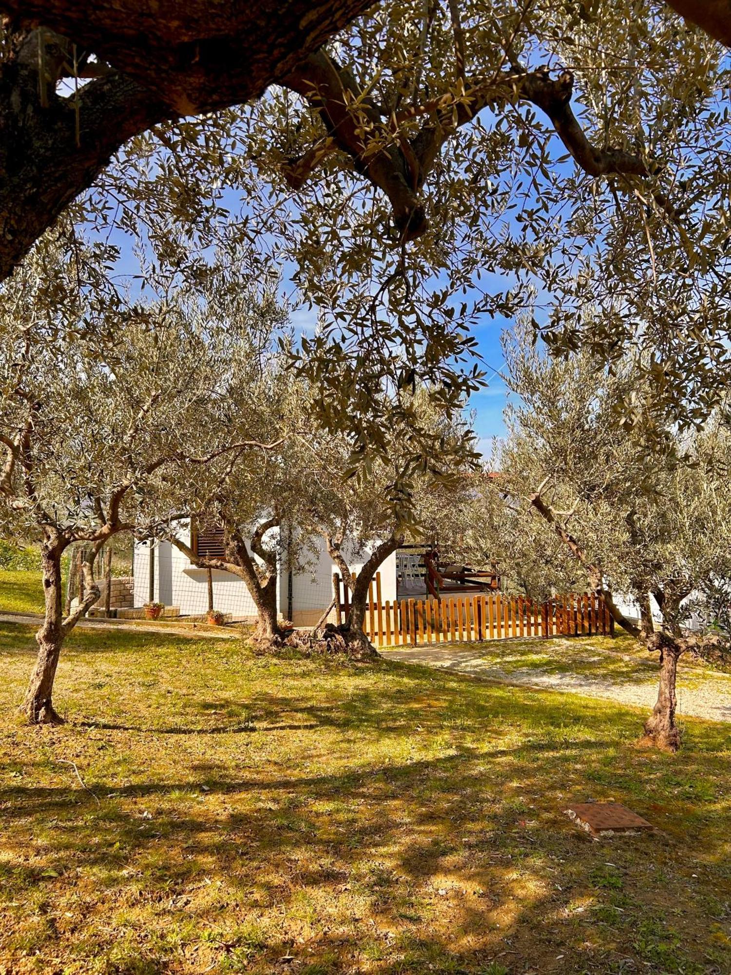 Oasi Macerina Villa Alanno ภายนอก รูปภาพ