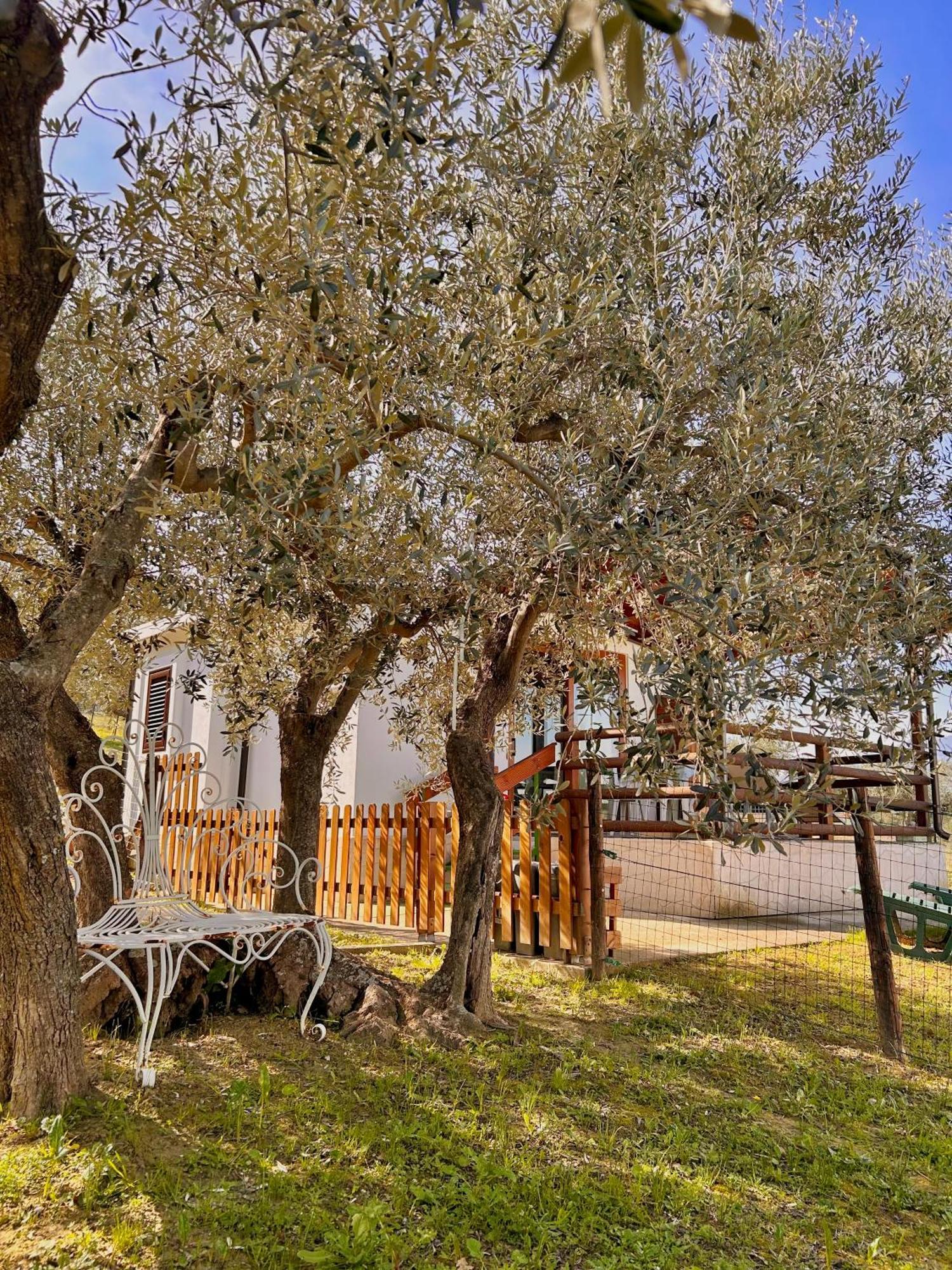 Oasi Macerina Villa Alanno ภายนอก รูปภาพ