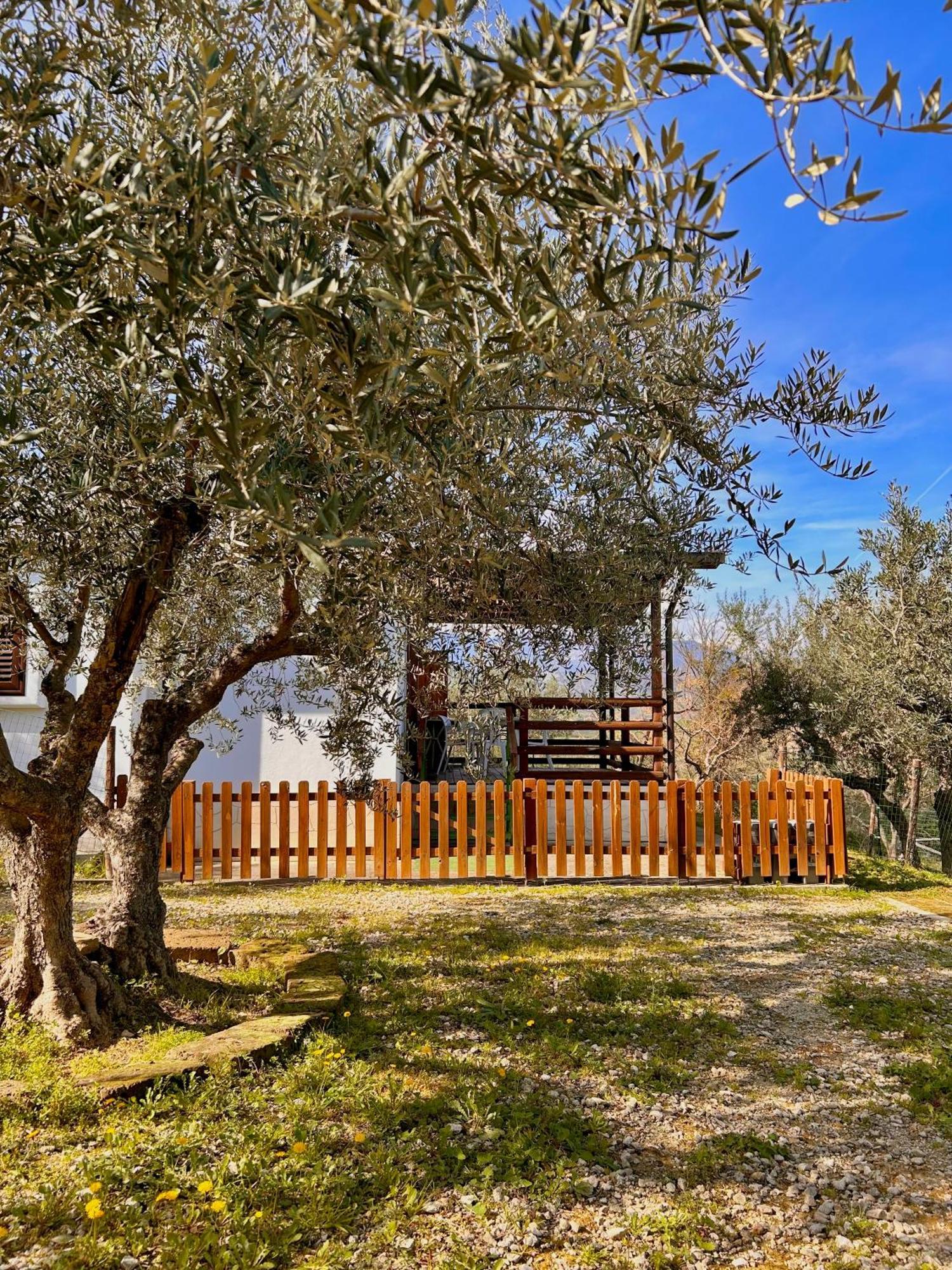 Oasi Macerina Villa Alanno ภายนอก รูปภาพ