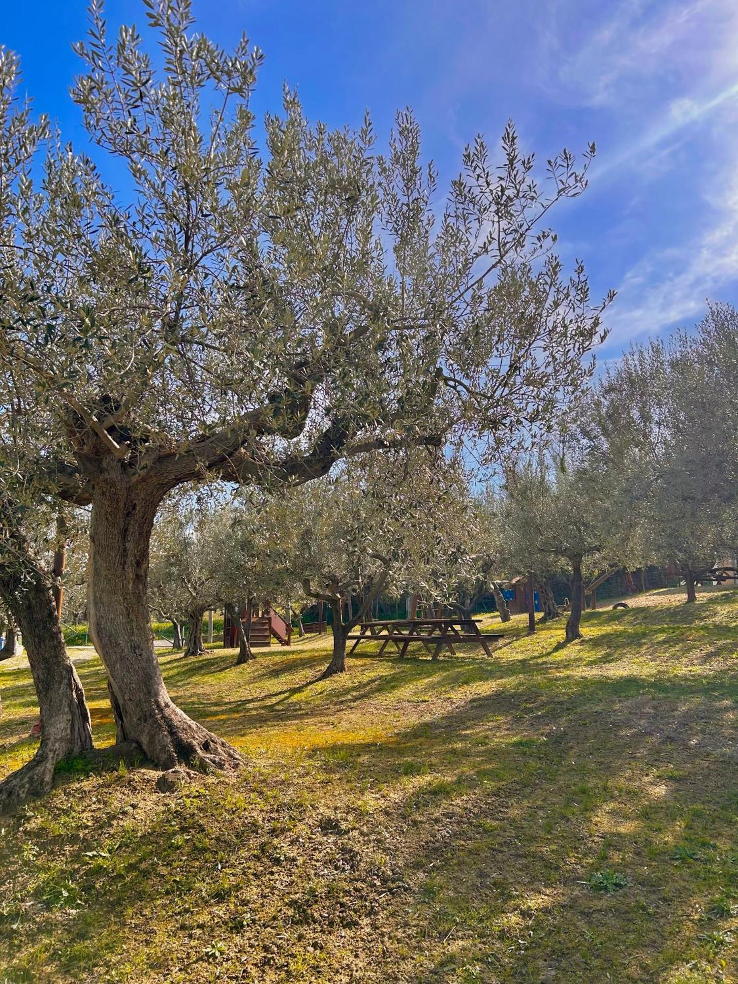 Oasi Macerina Villa Alanno ภายนอก รูปภาพ