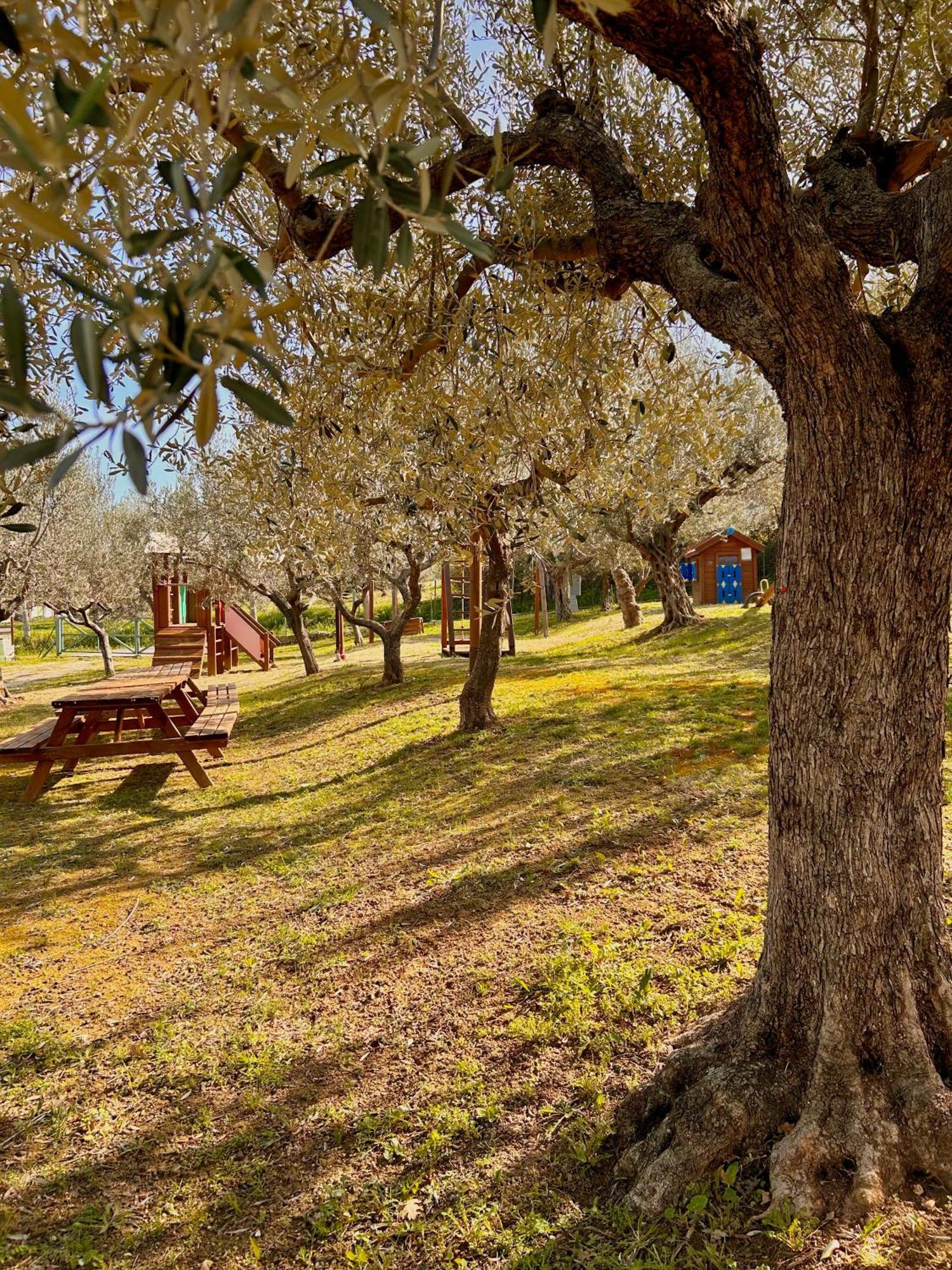 Oasi Macerina Villa Alanno ภายนอก รูปภาพ
