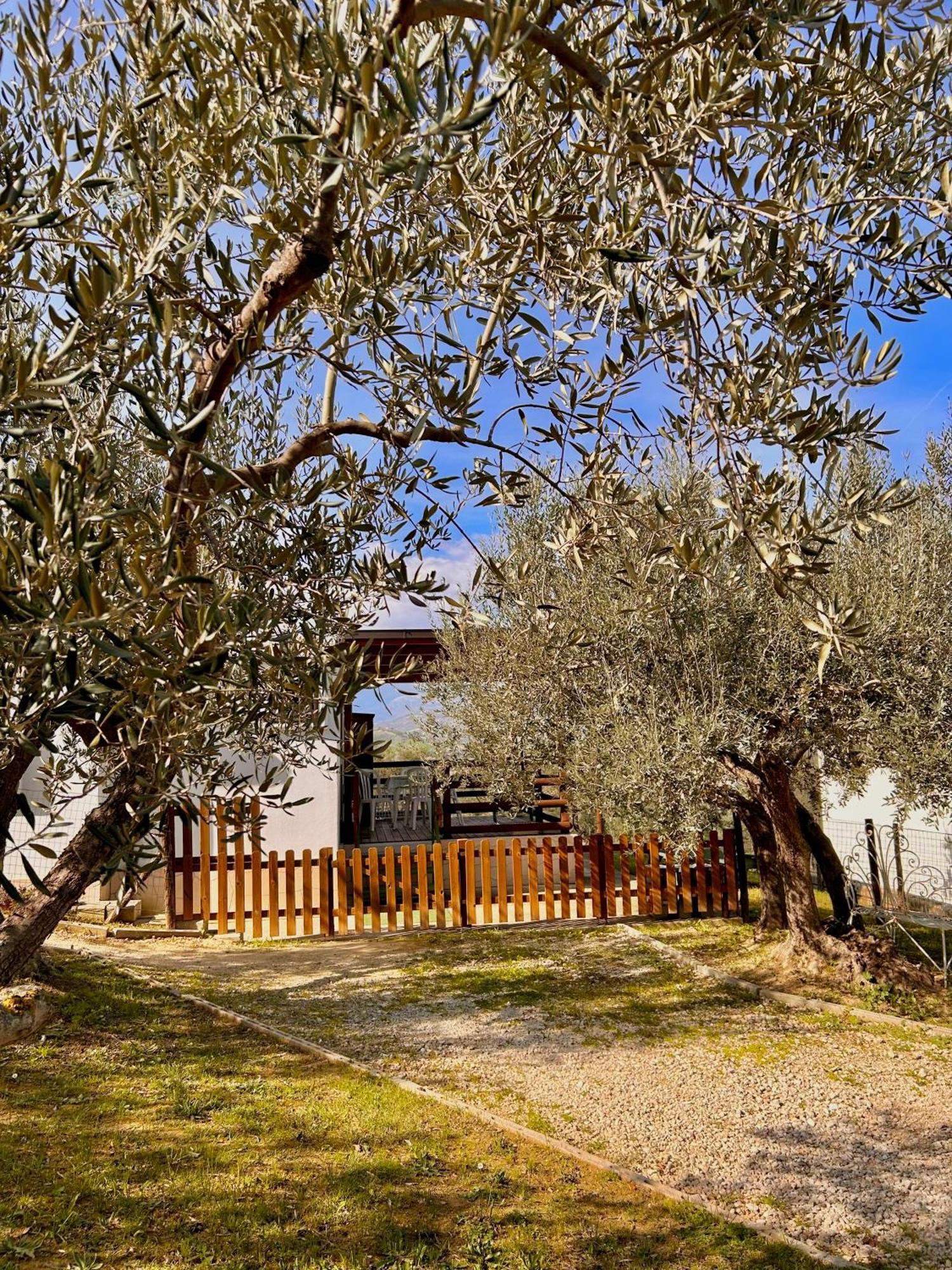 Oasi Macerina Villa Alanno ภายนอก รูปภาพ