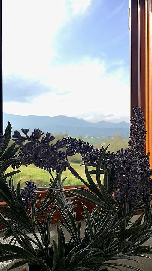 Oasi Macerina Villa Alanno ภายนอก รูปภาพ